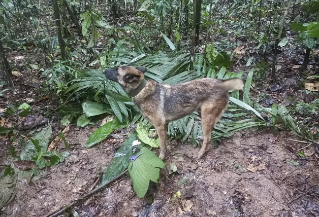 Wilson, junto a uno de sus hallazgos, unas tijeras.