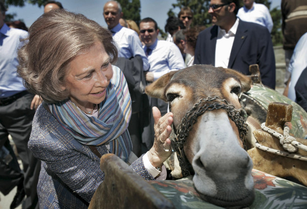 Doña Sofía, acariciando a un burro durante un viaje a Grecia.