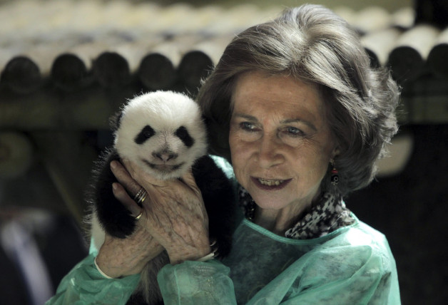 La madre del Rey, con un oso panda en brazos.