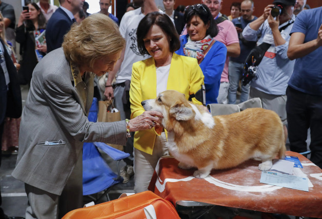 La esposa del rey emérito, en una exposición canina.