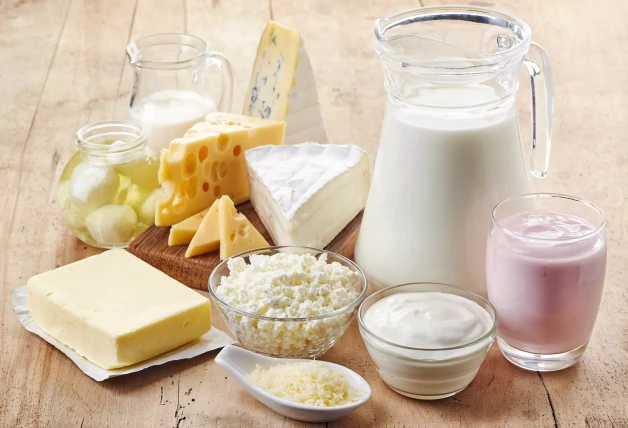 Varios productos lácteos frescos