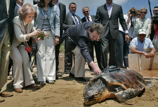 La reina Sofía fotografiando una tortuga liberada en 2008.
