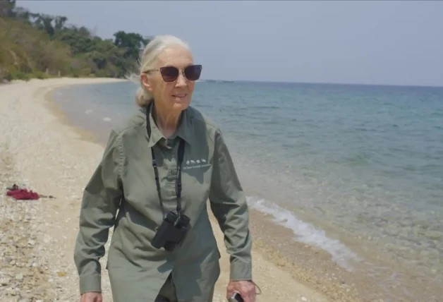 JANE GOODALL LA GRAN ESPERANZA , EN NATIONAL GEOGRAPHIC