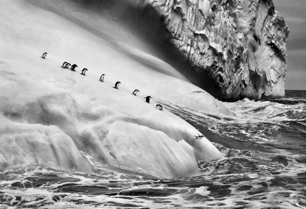 Fotos de Sebastiao Salgado