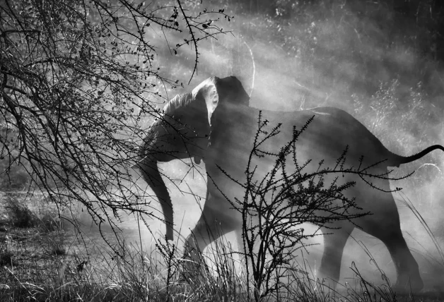 Fotos de Sebastiao Salgado
