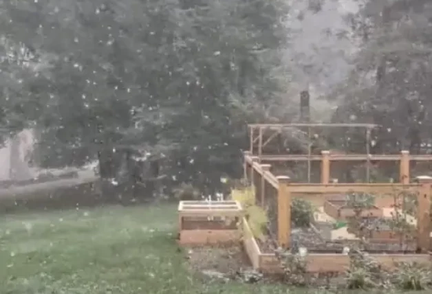 Alejandra Gere presume jardoín casa EEUU