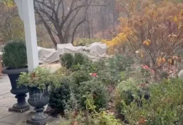 Alejandra Gere presume jardoín casa EEUU