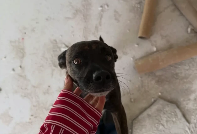 Sofica Suescun y Kiko Jimenez casa 1,4 millones de euros