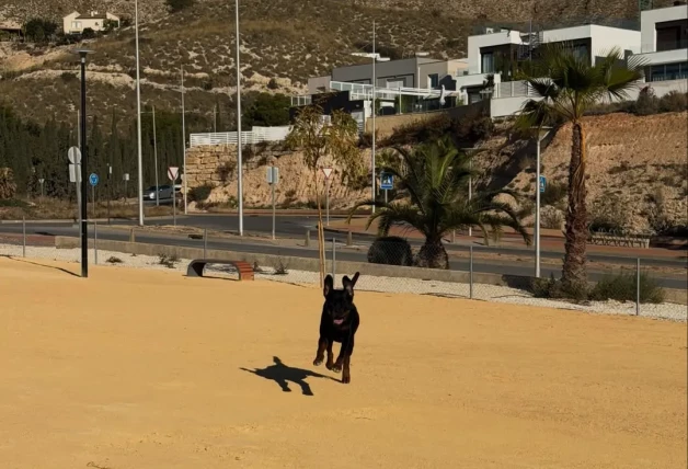 Sofica Suescun y Kiko Jimenez casa 1,4 millones de euros