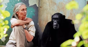 Jane Goodall