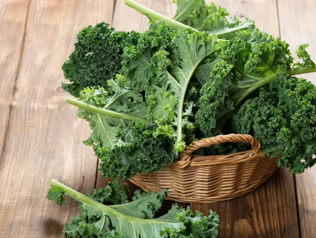 La col rizada es un concentrado de compuestos antiedad porque, además de ser una verdura de intenso color verde, pertenece a las cruciferas.