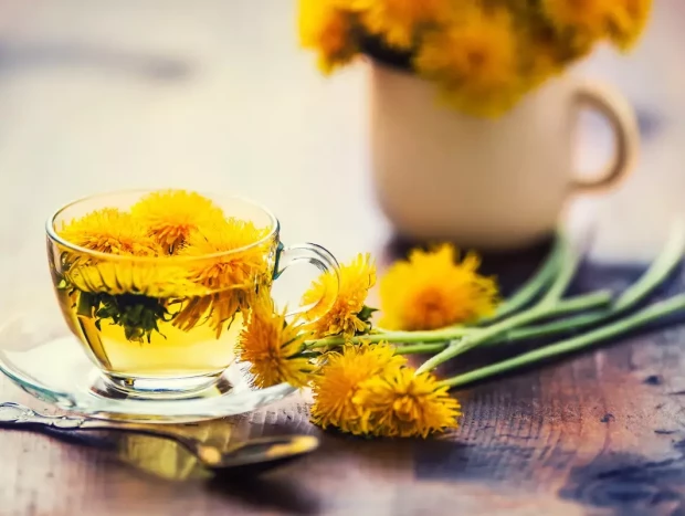 El diente de león actúa como un suave laxante natural.