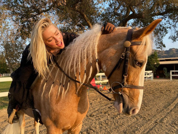 amber heard rancho 2