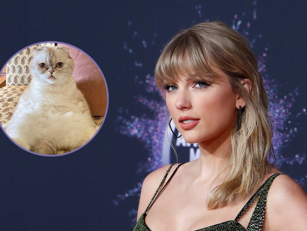 Taylor Swift y su gato