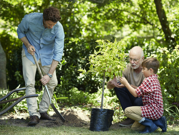 Familia plantando árboles