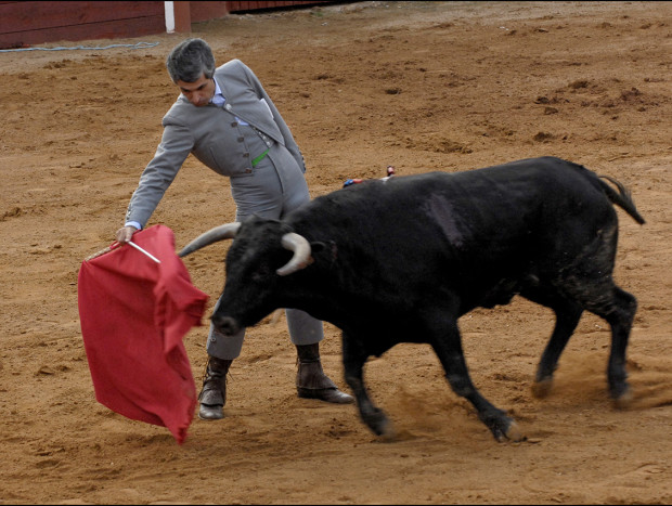 Adolfo Suárez hijo toreando