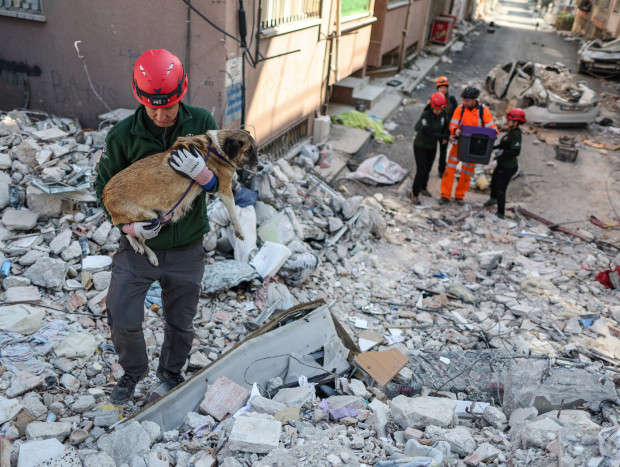 Rescate de un perro tras el terremoto de Hatay, en Turquía