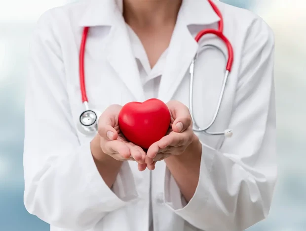 Doctora sosteniendo entre sus manos un corazón de juguete