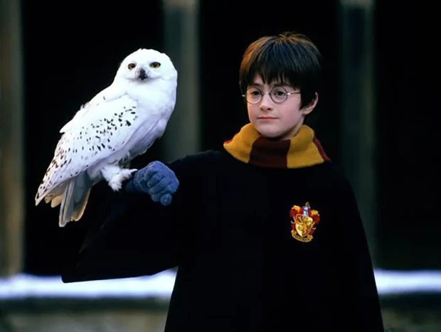 Harry Potter con su lechuza