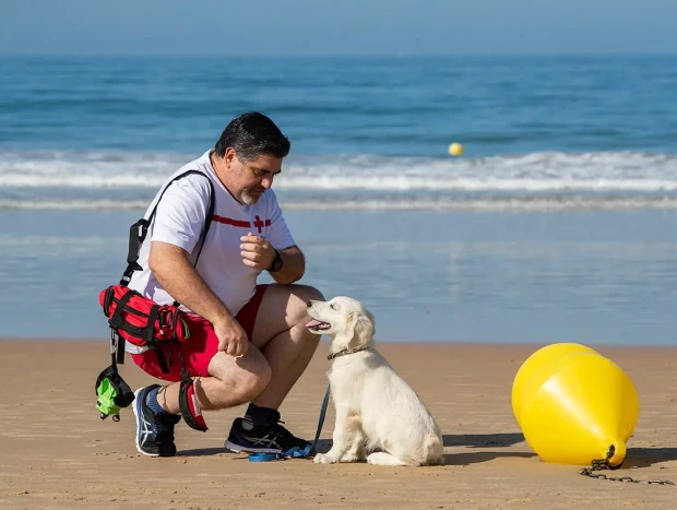 Chii el cachorro con su adiestrador, Juan Luis de Castellví, en La Barrosa.