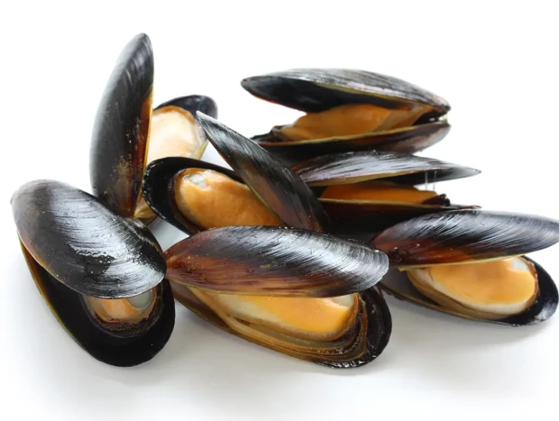 Mejillones