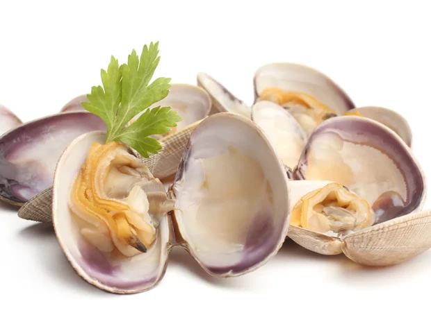 Almejas