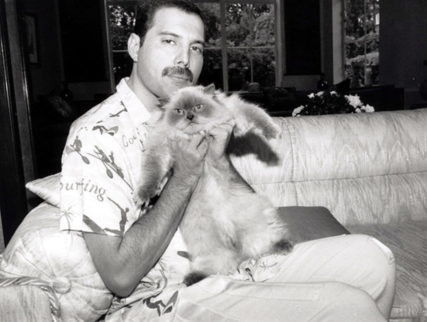 Freddie Mercury: salen a la luz 17 de sus diarios secretos