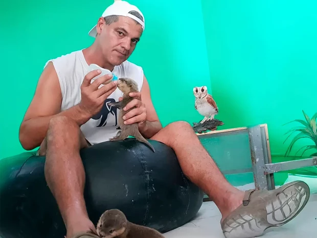 Frank Cuesta cuidando de unas nutrias en su santuario.