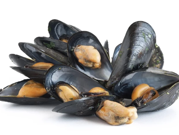 Mejillones