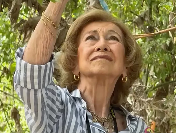 La Reina emérita, en un momento de la recogida.