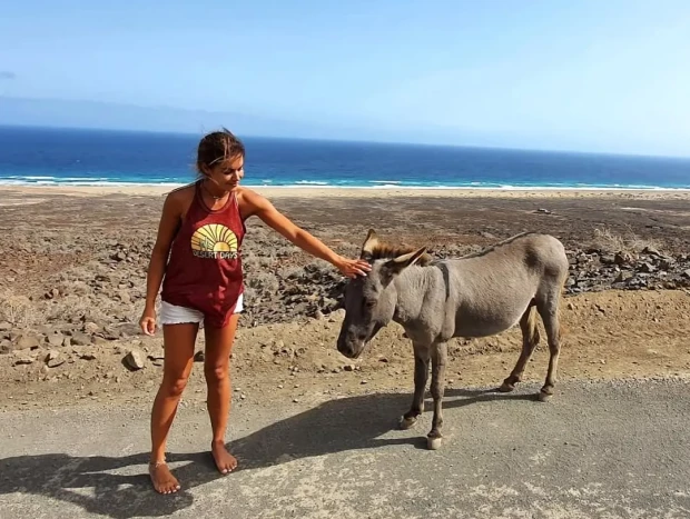 lara álvarez 1