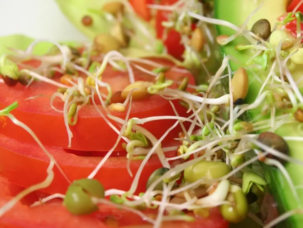 Los germinados son un concentrado de nutrientes de gran valor para la salud, entre los que destaca el hierro.