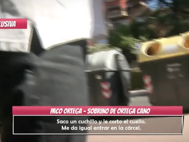 paco ortega sobrino ortega cano