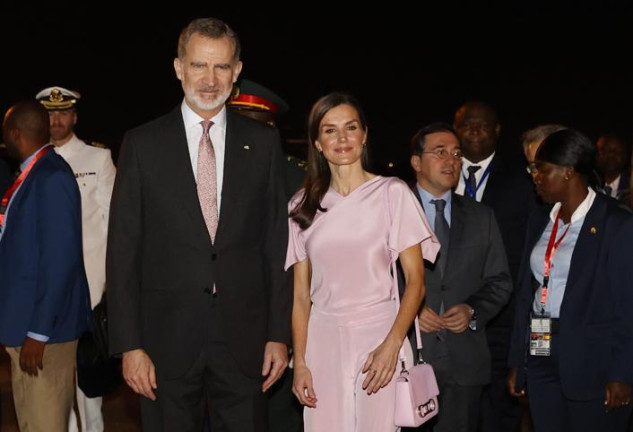 La reina Letizia deslumbra con un vestido rosa