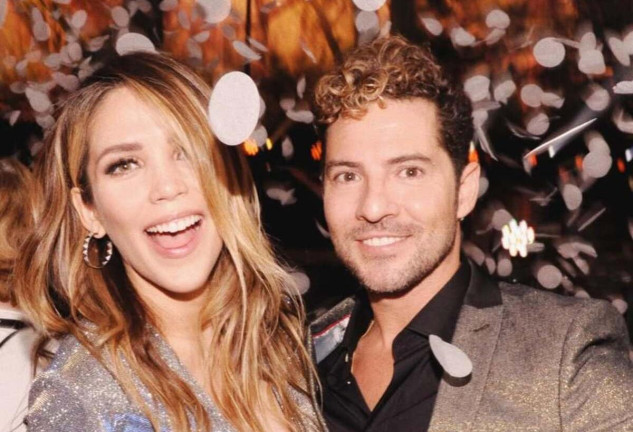 David Bisbal y su mujer, Rosanna Zanetti