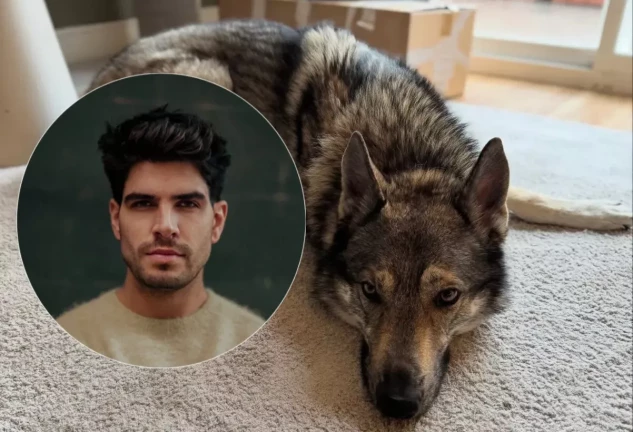 Diego Matamoros con uno de sus perros