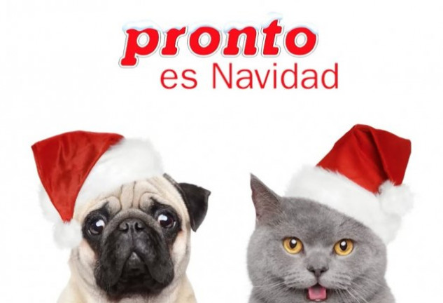 Los vídeos de felicitaciones navideñas son muy populares