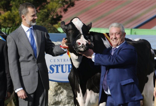 El presidente de Central Lechera Asturiana, Bertino Velasco, le mostró al soberano una de las mejores vacas de la región.