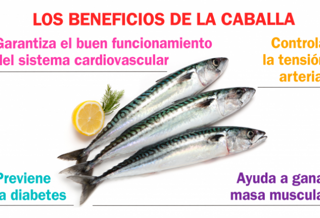 La caballa tiene un alto contenido en Omega 3.