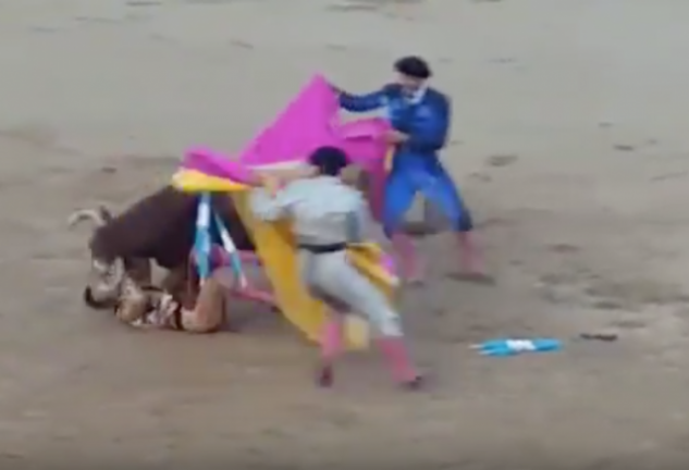 Sobrecogedor momento en que el toro corneó al diestro.