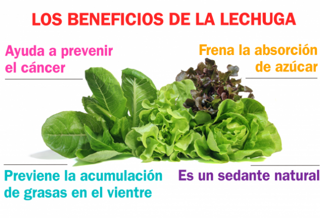 La lechuga es una gran fuente de fibra.