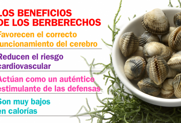 Los berberechos te ayudan a plantar cara al sobrepeso.