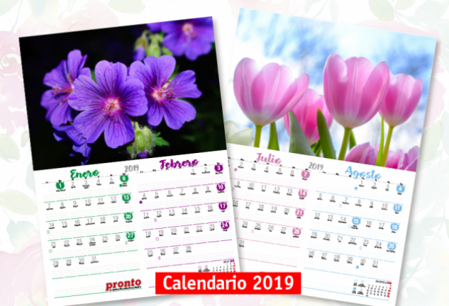 Calendario 2019