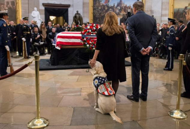 Sully, el fiel perro de Bush padre, fue uno más en el entierro de su amo.