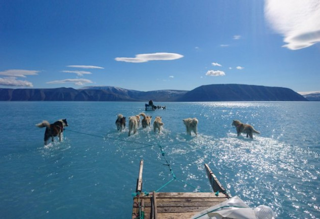 Esta impactante imagen ha dado la vuelta al mundo