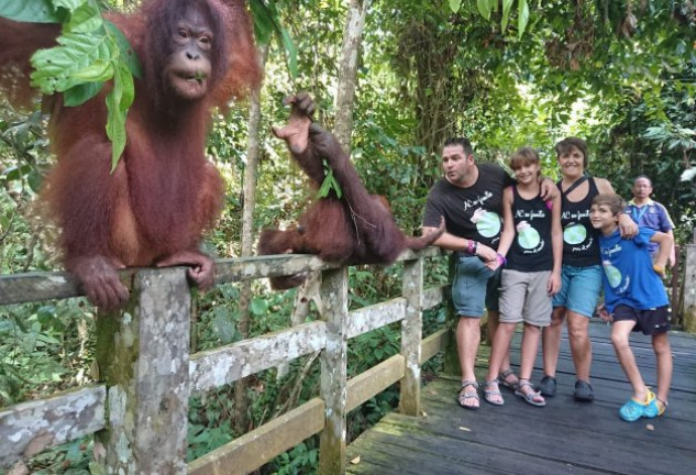 En Borneo vivieron una de las experiencias más fascinantes cuando pasearon entre orangutanes.