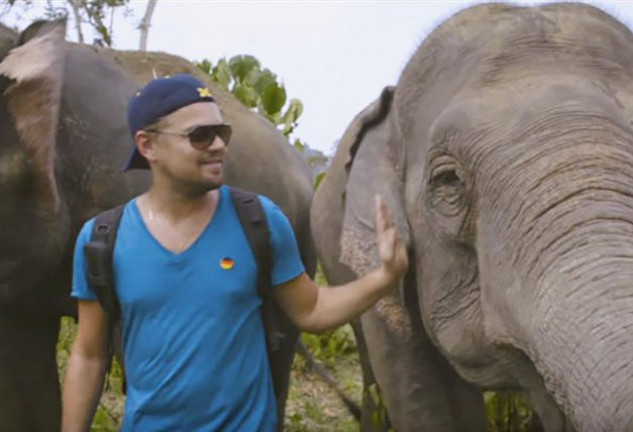 El actor trabaja con su fundación para evitar lo que sucede en la actualidad: que cada 15 minutos, un elefante muera a manos de un cazador ilegal.