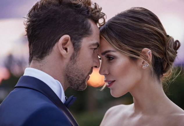 David Bisbal y Rosanna Zanetti son pareja desde abril de 2016.