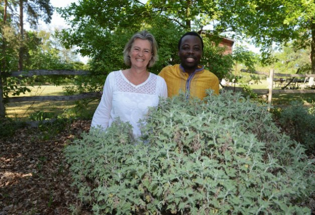 Lucile Cornet-Vernet, directora de la Maison de l’Artemisia, y el investigador Jerôme Munyangi rodeados de esta planta de virtudes curativas.