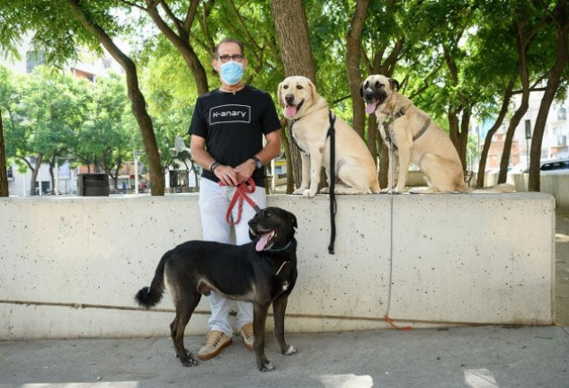 El adiestrador Manolo Yébenes nos ha contado que cualquier perro puede tener un buen olfato para detectar el COVID-19.